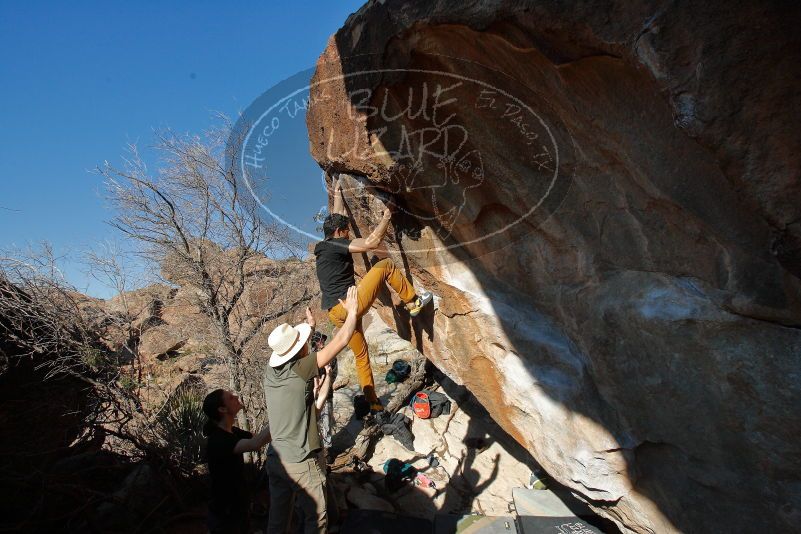 Bouldering in Hueco Tanks on 01/19/2020 with Blue Lizard Climbing and Yoga
Filename: SRM_20200119_1603110.jpg
Aperture: f/7.1
Shutter Speed: 1/640
Body: Canon EOS-1D Mark II
Lens: Canon EF 16-35mm f/2.8 L