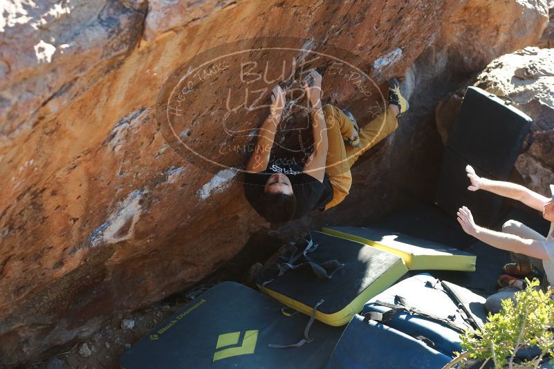 Bouldering in Hueco Tanks on 01/19/2020 with Blue Lizard Climbing and Yoga
Filename: SRM_20200119_1717390.jpg
Aperture: f/4.0
Shutter Speed: 1/320
Body: Canon EOS-1D Mark II
Lens: Canon EF 50mm f/1.8 II