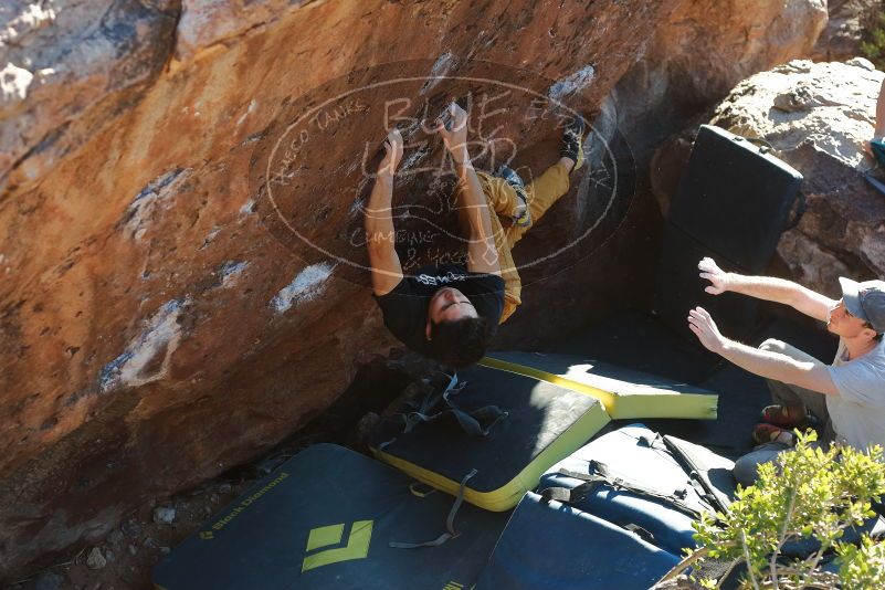 Bouldering in Hueco Tanks on 01/19/2020 with Blue Lizard Climbing and Yoga
Filename: SRM_20200119_1717400.jpg
Aperture: f/4.5
Shutter Speed: 1/320
Body: Canon EOS-1D Mark II
Lens: Canon EF 50mm f/1.8 II