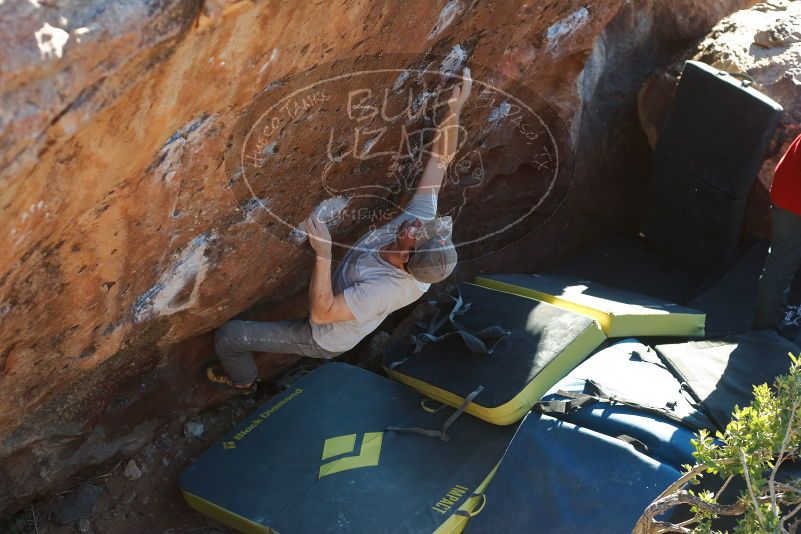 Bouldering in Hueco Tanks on 01/19/2020 with Blue Lizard Climbing and Yoga
Filename: SRM_20200119_1718310.jpg
Aperture: f/4.0
Shutter Speed: 1/320
Body: Canon EOS-1D Mark II
Lens: Canon EF 50mm f/1.8 II