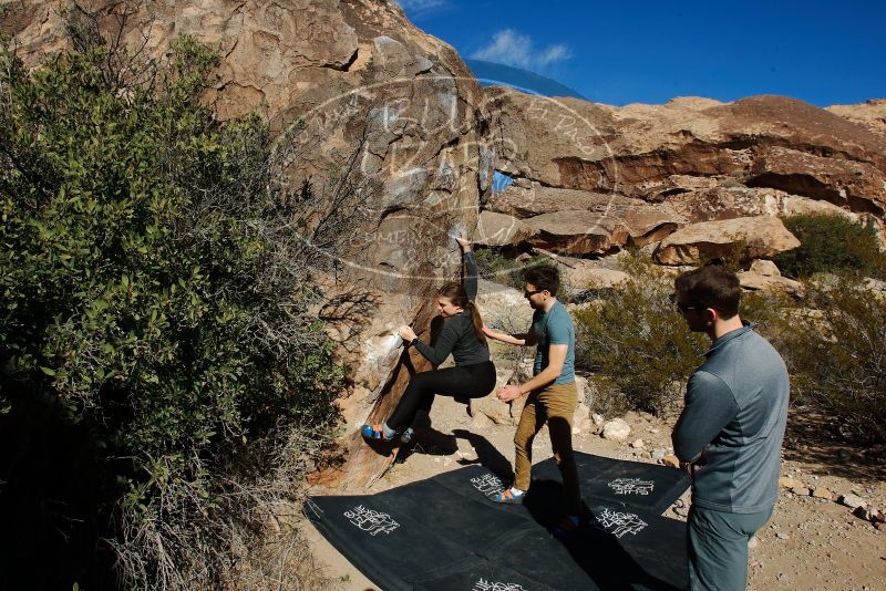Bouldering in Hueco Tanks on 01/26/2020 with Blue Lizard Climbing and Yoga

Filename: SRM_20200126_1108470.jpg
Aperture: f/10.0
Shutter Speed: 1/400
Body: Canon EOS-1D Mark II
Lens: Canon EF 16-35mm f/2.8 L
