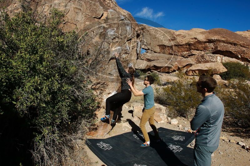 Bouldering in Hueco Tanks on 01/26/2020 with Blue Lizard Climbing and Yoga

Filename: SRM_20200126_1108590.jpg
Aperture: f/10.0
Shutter Speed: 1/400
Body: Canon EOS-1D Mark II
Lens: Canon EF 16-35mm f/2.8 L