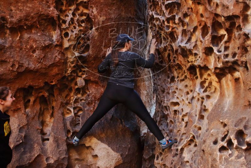 Bouldering in Hueco Tanks on 01/26/2020 with Blue Lizard Climbing and Yoga

Filename: SRM_20200126_1216560.jpg
Aperture: f/2.8
Shutter Speed: 1/100
Body: Canon EOS-1D Mark II
Lens: Canon EF 16-35mm f/2.8 L