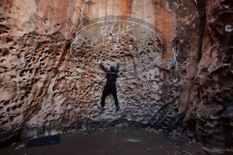 Bouldering in Hueco Tanks on 01/26/2020 with Blue Lizard Climbing and Yoga

Filename: SRM_20200126_1230300.jpg
Aperture: f/4.5
Shutter Speed: 1/125
Body: Canon EOS-1D Mark II
Lens: Canon EF 16-35mm f/2.8 L