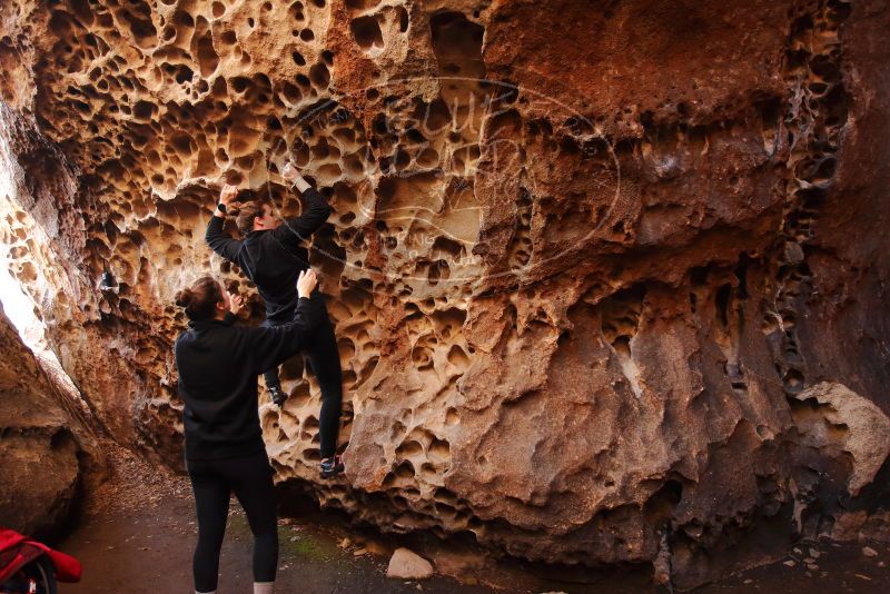 Bouldering in Hueco Tanks on 01/26/2020 with Blue Lizard Climbing and Yoga

Filename: SRM_20200126_1230360.jpg
Aperture: f/3.2
Shutter Speed: 1/125
Body: Canon EOS-1D Mark II
Lens: Canon EF 16-35mm f/2.8 L