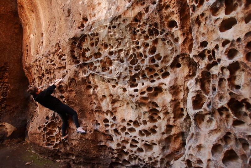 Bouldering in Hueco Tanks on 01/26/2020 with Blue Lizard Climbing and Yoga

Filename: SRM_20200126_1241430.jpg
Aperture: f/3.5
Shutter Speed: 1/125
Body: Canon EOS-1D Mark II
Lens: Canon EF 16-35mm f/2.8 L