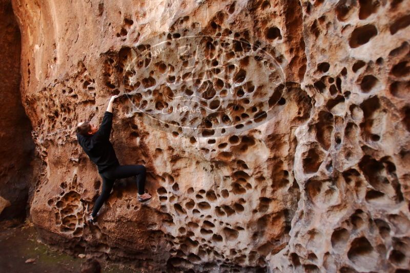 Bouldering in Hueco Tanks on 01/26/2020 with Blue Lizard Climbing and Yoga
Filename: SRM_20200126_1241470.jpg
Aperture: f/3.2
Shutter Speed: 1/125
Body: Canon EOS-1D Mark II
Lens: Canon EF 16-35mm f/2.8 L