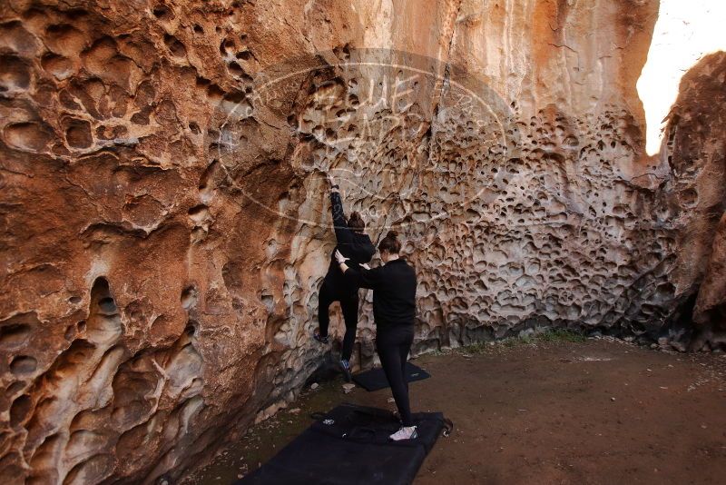 Bouldering in Hueco Tanks on 01/26/2020 with Blue Lizard Climbing and Yoga

Filename: SRM_20200126_1243190.jpg
Aperture: f/4.0
Shutter Speed: 1/125
Body: Canon EOS-1D Mark II
Lens: Canon EF 16-35mm f/2.8 L