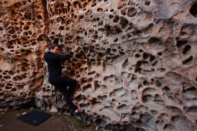 Bouldering in Hueco Tanks on 01/26/2020 with Blue Lizard Climbing and Yoga

Filename: SRM_20200126_1251040.jpg
Aperture: f/3.5
Shutter Speed: 1/125
Body: Canon EOS-1D Mark II
Lens: Canon EF 16-35mm f/2.8 L