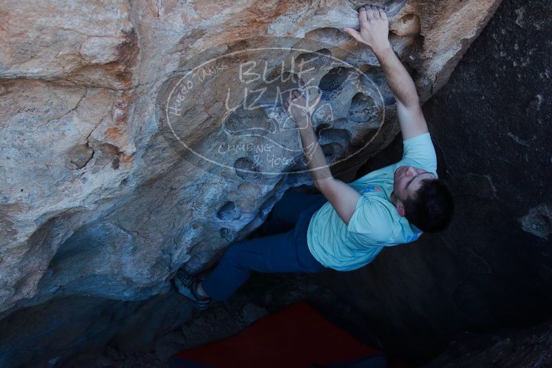 Bouldering in Hueco Tanks on 01/27/2020 with Blue Lizard Climbing and Yoga

Filename: SRM_20200127_1047190.jpg
Aperture: f/6.3
Shutter Speed: 1/250
Body: Canon EOS-1D Mark II
Lens: Canon EF 16-35mm f/2.8 L