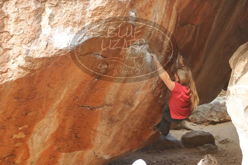 Bouldering in Hueco Tanks on 01/27/2020 with Blue Lizard Climbing and Yoga
Filename: SRM_20200127_1131031.jpg
Aperture: f/4.5
Shutter Speed: 1/250
Body: Canon EOS-1D Mark II
Lens: Canon EF 50mm f/1.8 II