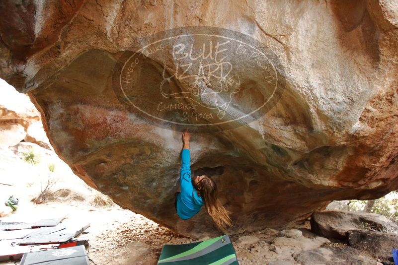 Bouldering in Hueco Tanks on 01/27/2020 with Blue Lizard Climbing and Yoga
Filename: SRM_20200127_1212520.jpg
Aperture: f/3.5
Shutter Speed: 1/250
Body: Canon EOS-1D Mark II
Lens: Canon EF 16-35mm f/2.8 L