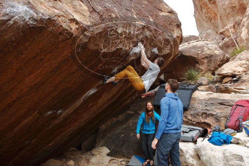 Bouldering in Hueco Tanks on 01/27/2020 with Blue Lizard Climbing and Yoga

Filename: SRM_20200127_1238330.jpg
Aperture: f/6.3
Shutter Speed: 1/250
Body: Canon EOS-1D Mark II
Lens: Canon EF 16-35mm f/2.8 L