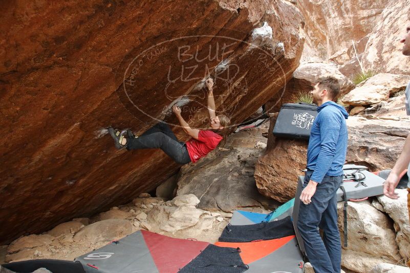 Bouldering in Hueco Tanks on 01/27/2020 with Blue Lizard Climbing and Yoga
Filename: SRM_20200127_1243480.jpg
Aperture: f/4.5
Shutter Speed: 1/250
Body: Canon EOS-1D Mark II
Lens: Canon EF 16-35mm f/2.8 L