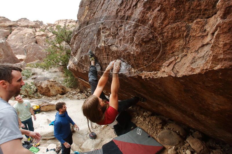Bouldering in Hueco Tanks on 01/27/2020 with Blue Lizard Climbing and Yoga
Filename: SRM_20200127_1244050.jpg
Aperture: f/6.3
Shutter Speed: 1/250
Body: Canon EOS-1D Mark II
Lens: Canon EF 16-35mm f/2.8 L