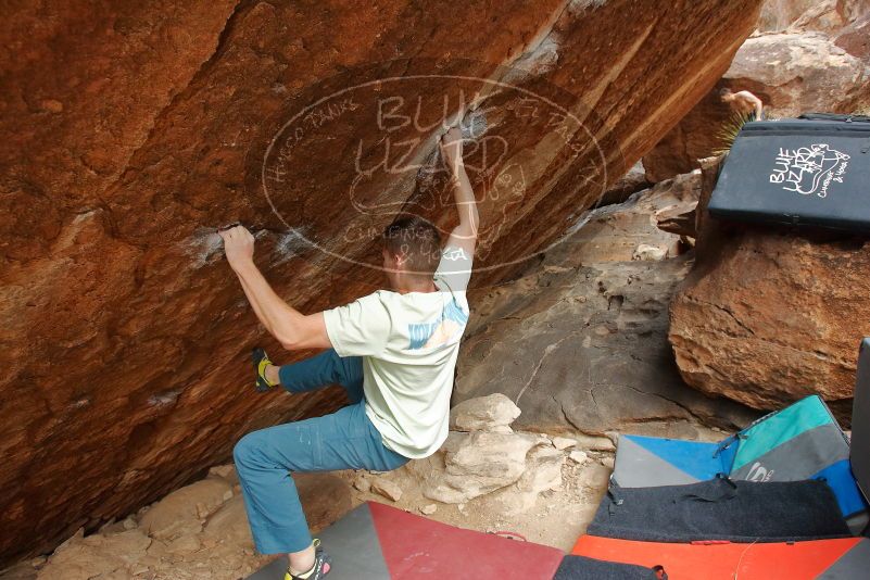 Bouldering in Hueco Tanks on 01/27/2020 with Blue Lizard Climbing and Yoga
Filename: SRM_20200127_1258100.jpg
Aperture: f/5.0
Shutter Speed: 1/500
Body: Canon EOS-1D Mark II
Lens: Canon EF 16-35mm f/2.8 L