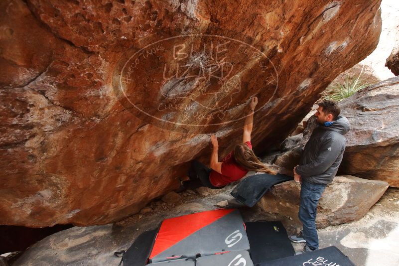 Bouldering in Hueco Tanks on 01/27/2020 with Blue Lizard Climbing and Yoga

Filename: SRM_20200127_1323130.jpg
Aperture: f/4.0
Shutter Speed: 1/320
Body: Canon EOS-1D Mark II
Lens: Canon EF 16-35mm f/2.8 L