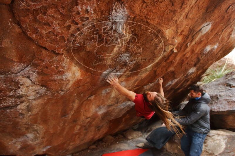 Bouldering in Hueco Tanks on 01/27/2020 with Blue Lizard Climbing and Yoga

Filename: SRM_20200127_1323180.jpg
Aperture: f/3.5
Shutter Speed: 1/320
Body: Canon EOS-1D Mark II
Lens: Canon EF 16-35mm f/2.8 L