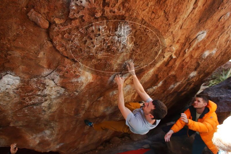 Bouldering in Hueco Tanks on 01/27/2020 with Blue Lizard Climbing and Yoga
Filename: SRM_20200127_1331082.jpg
Aperture: f/4.5
Shutter Speed: 1/320
Body: Canon EOS-1D Mark II
Lens: Canon EF 16-35mm f/2.8 L