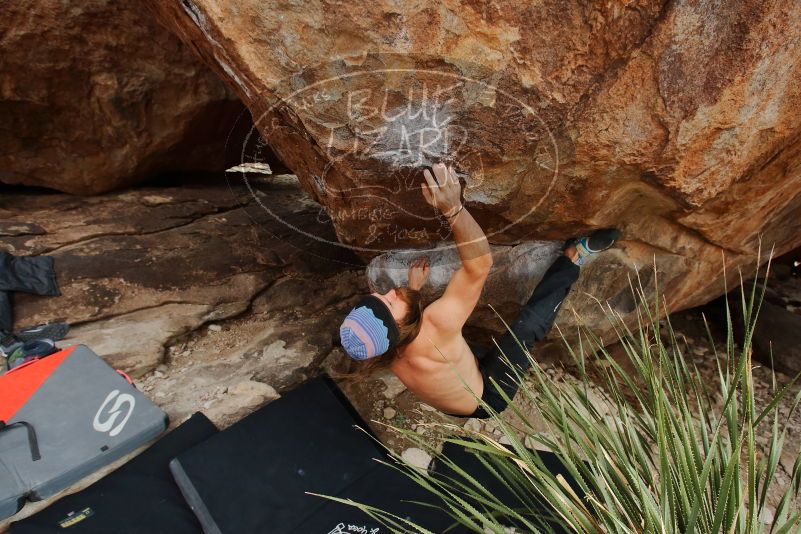 Bouldering in Hueco Tanks on 01/27/2020 with Blue Lizard Climbing and Yoga

Filename: SRM_20200127_1508510.jpg
Aperture: f/5.6
Shutter Speed: 1/250
Body: Canon EOS-1D Mark II
Lens: Canon EF 16-35mm f/2.8 L
