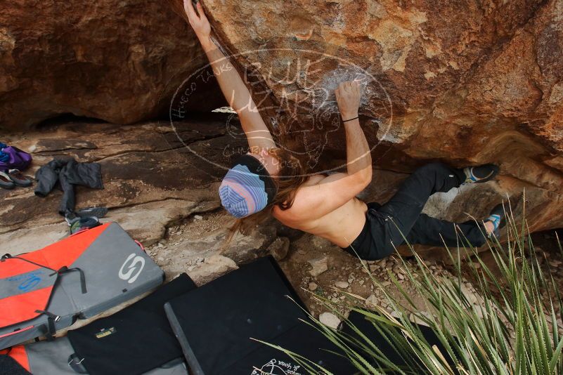 Bouldering in Hueco Tanks on 01/27/2020 with Blue Lizard Climbing and Yoga

Filename: SRM_20200127_1508560.jpg
Aperture: f/6.3
Shutter Speed: 1/250
Body: Canon EOS-1D Mark II
Lens: Canon EF 16-35mm f/2.8 L