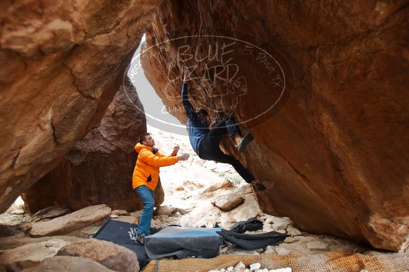 Bouldering in Hueco Tanks on 01/27/2020 with Blue Lizard Climbing and Yoga
Filename: SRM_20200127_1523210.jpg
Aperture: f/2.8
Shutter Speed: 1/160
Body: Canon EOS-1D Mark II
Lens: Canon EF 16-35mm f/2.8 L