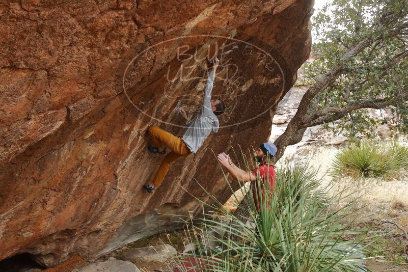 Bouldering in Hueco Tanks on 01/27/2020 with Blue Lizard Climbing and Yoga
Filename: SRM_20200127_1523420.jpg
Aperture: f/5.6
Shutter Speed: 1/250
Body: Canon EOS-1D Mark II
Lens: Canon EF 16-35mm f/2.8 L