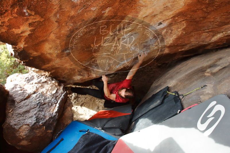 Bouldering in Hueco Tanks on 01/27/2020 with Blue Lizard Climbing and Yoga
Filename: SRM_20200127_1602110.jpg
Aperture: f/4.5
Shutter Speed: 1/320
Body: Canon EOS-1D Mark II
Lens: Canon EF 16-35mm f/2.8 L