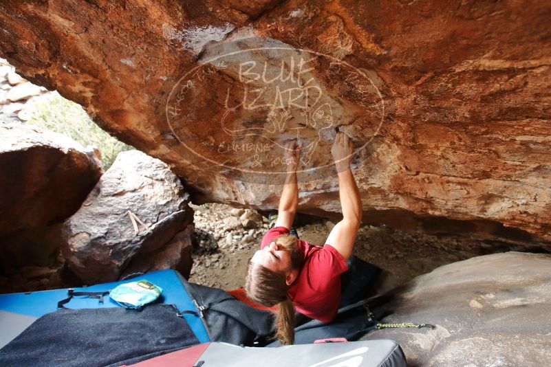 Bouldering in Hueco Tanks on 01/27/2020 with Blue Lizard Climbing and Yoga
Filename: SRM_20200127_1605250.jpg
Aperture: f/4.0
Shutter Speed: 1/250
Body: Canon EOS-1D Mark II
Lens: Canon EF 16-35mm f/2.8 L