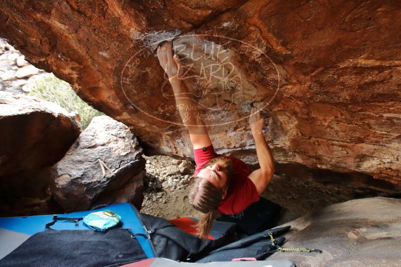 Bouldering in Hueco Tanks on 01/27/2020 with Blue Lizard Climbing and Yoga
Filename: SRM_20200127_1605260.jpg
Aperture: f/4.5
Shutter Speed: 1/250
Body: Canon EOS-1D Mark II
Lens: Canon EF 16-35mm f/2.8 L