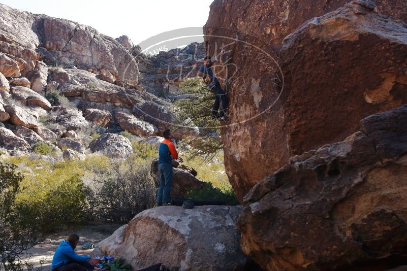 Bouldering in Hueco Tanks on 01/29/2020 with Blue Lizard Climbing and Yoga
Filename: SRM_20200129_1129090.jpg
Aperture: f/8.0
Shutter Speed: 1/250
Body: Canon EOS-1D Mark II
Lens: Canon EF 16-35mm f/2.8 L