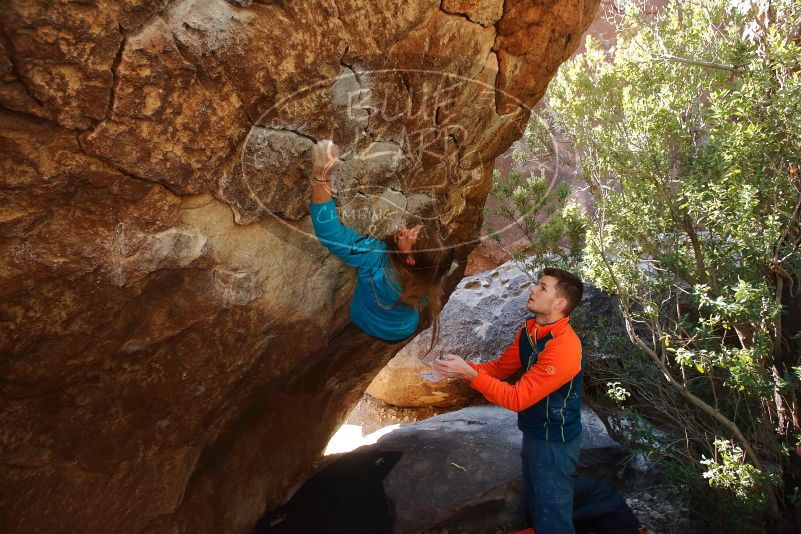 Bouldering in Hueco Tanks on 01/29/2020 with Blue Lizard Climbing and Yoga
Filename: SRM_20200129_1217570.jpg
Aperture: f/5.0
Shutter Speed: 1/250
Body: Canon EOS-1D Mark II
Lens: Canon EF 16-35mm f/2.8 L