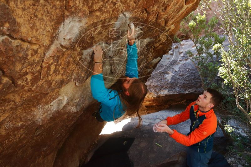 Bouldering in Hueco Tanks on 01/29/2020 with Blue Lizard Climbing and Yoga
Filename: SRM_20200129_1218030.jpg
Aperture: f/5.0
Shutter Speed: 1/250
Body: Canon EOS-1D Mark II
Lens: Canon EF 16-35mm f/2.8 L