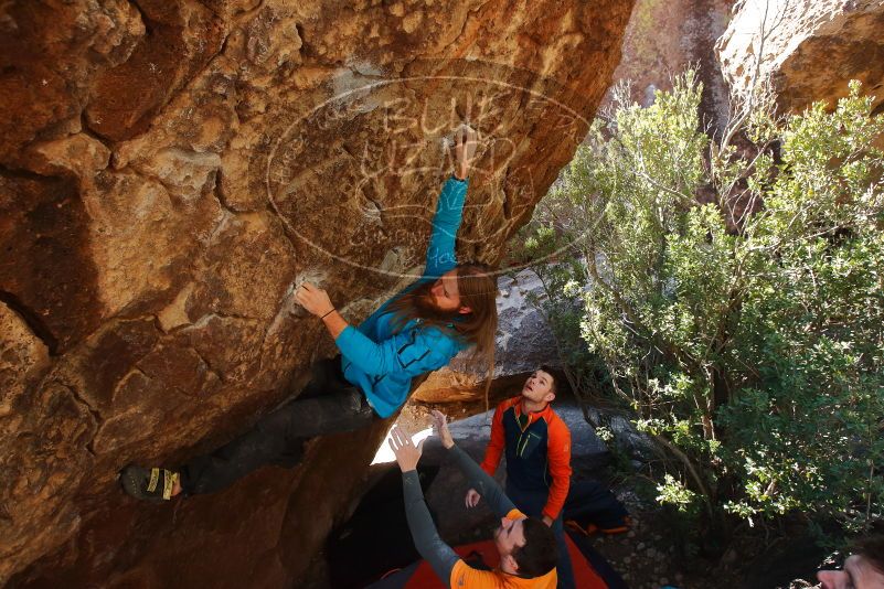 Bouldering in Hueco Tanks on 01/29/2020 with Blue Lizard Climbing and Yoga
Filename: SRM_20200129_1218180.jpg
Aperture: f/5.6
Shutter Speed: 1/250
Body: Canon EOS-1D Mark II
Lens: Canon EF 16-35mm f/2.8 L