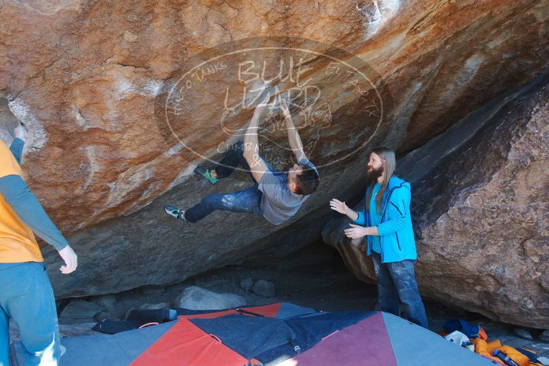 Bouldering in Hueco Tanks on 01/29/2020 with Blue Lizard Climbing and Yoga

Filename: SRM_20200129_1456240.jpg
Aperture: f/4.5
Shutter Speed: 1/320
Body: Canon EOS-1D Mark II
Lens: Canon EF 16-35mm f/2.8 L