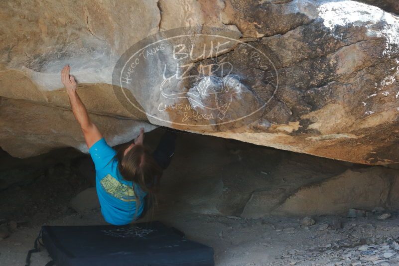 Bouldering in Hueco Tanks on 01/29/2020 with Blue Lizard Climbing and Yoga

Filename: SRM_20200129_1526180.jpg
Aperture: f/3.5
Shutter Speed: 1/320
Body: Canon EOS-1D Mark II
Lens: Canon EF 50mm f/1.8 II