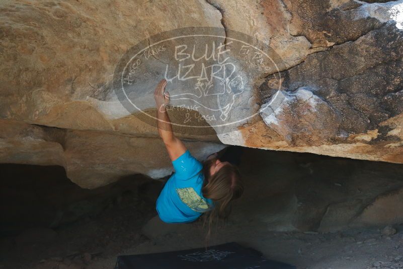 Bouldering in Hueco Tanks on 01/29/2020 with Blue Lizard Climbing and Yoga

Filename: SRM_20200129_1526210.jpg
Aperture: f/4.0
Shutter Speed: 1/320
Body: Canon EOS-1D Mark II
Lens: Canon EF 50mm f/1.8 II