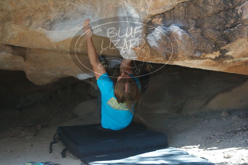 Bouldering in Hueco Tanks on 01/29/2020 with Blue Lizard Climbing and Yoga

Filename: SRM_20200129_1526270.jpg
Aperture: f/3.5
Shutter Speed: 1/320
Body: Canon EOS-1D Mark II
Lens: Canon EF 50mm f/1.8 II