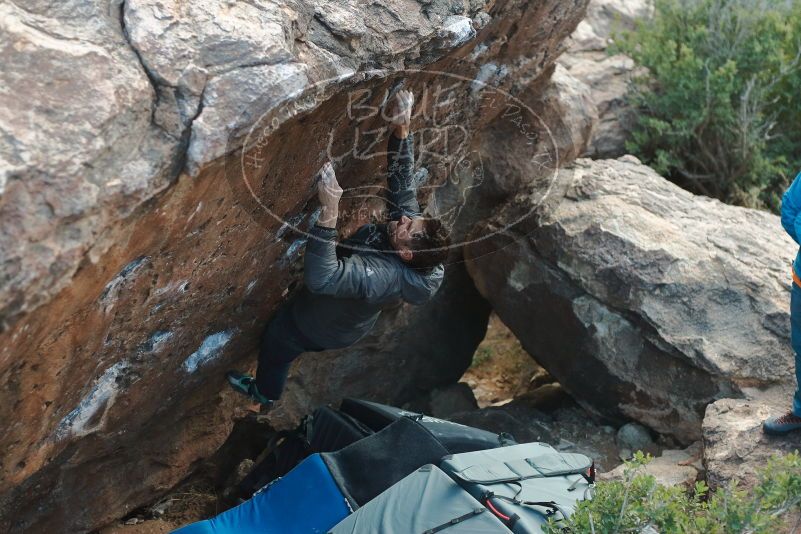 Bouldering in Hueco Tanks on 01/29/2020 with Blue Lizard Climbing and Yoga
Filename: SRM_20200129_1825081.jpg
Aperture: f/3.2
Shutter Speed: 1/200
Body: Canon EOS-1D Mark II
Lens: Canon EF 50mm f/1.8 II