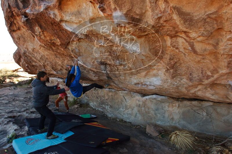 Bouldering in Hueco Tanks on 02/01/2020 with Blue Lizard Climbing and Yoga

Filename: SRM_20200201_1045440.jpg
Aperture: f/5.6
Shutter Speed: 1/250
Body: Canon EOS-1D Mark II
Lens: Canon EF 16-35mm f/2.8 L
