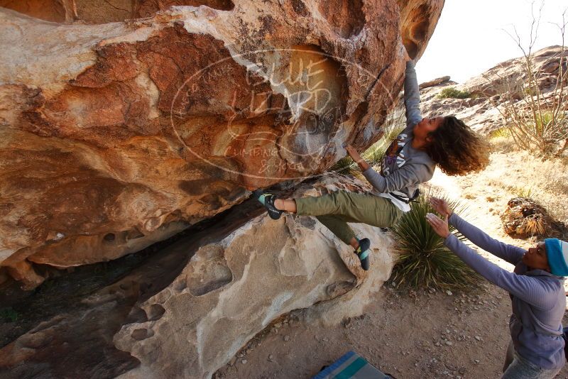 Bouldering in Hueco Tanks on 02/01/2020 with Blue Lizard Climbing and Yoga
Filename: SRM_20200201_1109521.jpg
Aperture: f/6.3
Shutter Speed: 1/250
Body: Canon EOS-1D Mark II
Lens: Canon EF 16-35mm f/2.8 L
