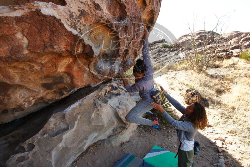 Bouldering in Hueco Tanks on 02/01/2020 with Blue Lizard Climbing and Yoga

Filename: SRM_20200201_1116380.jpg
Aperture: f/7.1
Shutter Speed: 1/250
Body: Canon EOS-1D Mark II
Lens: Canon EF 16-35mm f/2.8 L