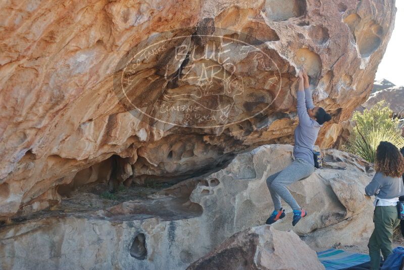 Bouldering in Hueco Tanks on 02/01/2020 with Blue Lizard Climbing and Yoga
Filename: SRM_20200201_1132230.jpg
Aperture: f/5.0
Shutter Speed: 1/250
Body: Canon EOS-1D Mark II
Lens: Canon EF 50mm f/1.8 II
