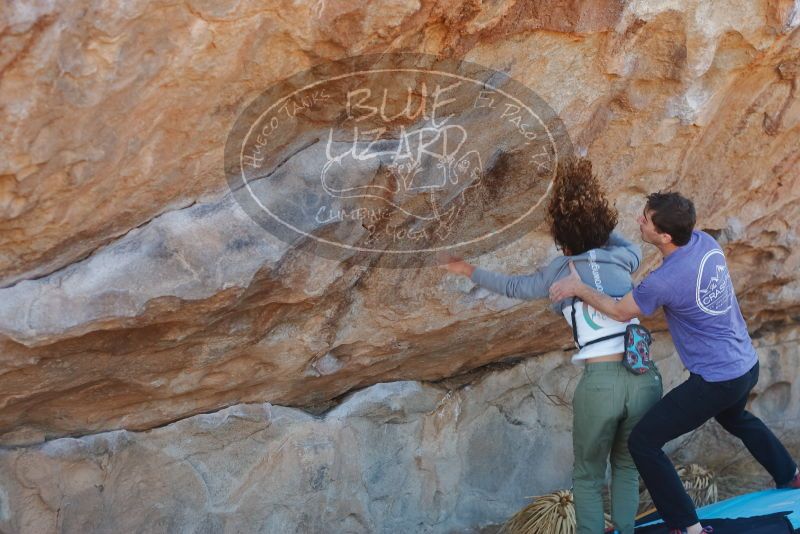 Bouldering in Hueco Tanks on 02/01/2020 with Blue Lizard Climbing and Yoga

Filename: SRM_20200201_1134531.jpg
Aperture: f/4.0
Shutter Speed: 1/250
Body: Canon EOS-1D Mark II
Lens: Canon EF 50mm f/1.8 II