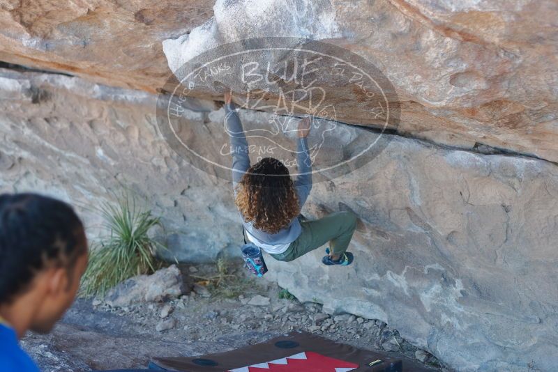 Bouldering in Hueco Tanks on 02/01/2020 with Blue Lizard Climbing and Yoga

Filename: SRM_20200201_1137160.jpg
Aperture: f/2.8
Shutter Speed: 1/250
Body: Canon EOS-1D Mark II
Lens: Canon EF 50mm f/1.8 II