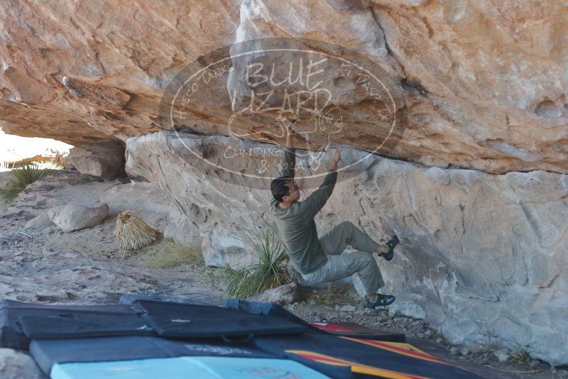 Bouldering in Hueco Tanks on 02/01/2020 with Blue Lizard Climbing and Yoga

Filename: SRM_20200201_1142470.jpg
Aperture: f/3.2
Shutter Speed: 1/250
Body: Canon EOS-1D Mark II
Lens: Canon EF 50mm f/1.8 II