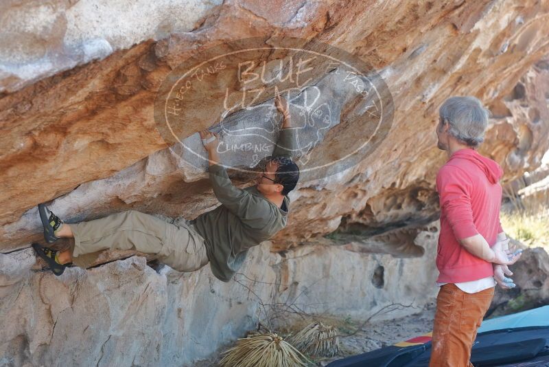 Bouldering in Hueco Tanks on 02/01/2020 with Blue Lizard Climbing and Yoga
Filename: SRM_20200201_1157040.jpg
Aperture: f/3.5
Shutter Speed: 1/250
Body: Canon EOS-1D Mark II
Lens: Canon EF 50mm f/1.8 II