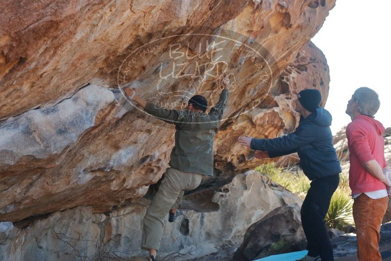 Bouldering in Hueco Tanks on 02/01/2020 with Blue Lizard Climbing and Yoga
Filename: SRM_20200201_1157500.jpg
Aperture: f/4.5
Shutter Speed: 1/250
Body: Canon EOS-1D Mark II
Lens: Canon EF 50mm f/1.8 II