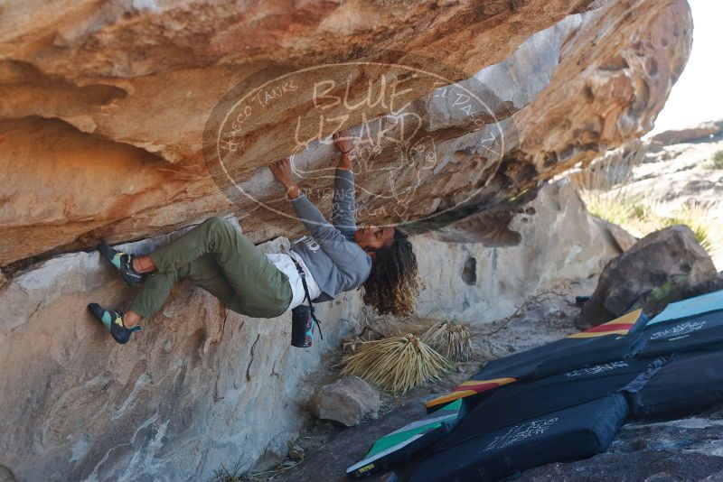 Bouldering in Hueco Tanks on 02/01/2020 with Blue Lizard Climbing and Yoga
Filename: SRM_20200201_1158470.jpg
Aperture: f/4.0
Shutter Speed: 1/250
Body: Canon EOS-1D Mark II
Lens: Canon EF 50mm f/1.8 II