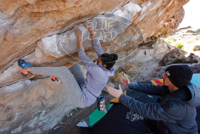 Bouldering in Hueco Tanks on 02/01/2020 with Blue Lizard Climbing and Yoga

Filename: SRM_20200201_1205180.jpg
Aperture: f/4.5
Shutter Speed: 1/250
Body: Canon EOS-1D Mark II
Lens: Canon EF 16-35mm f/2.8 L